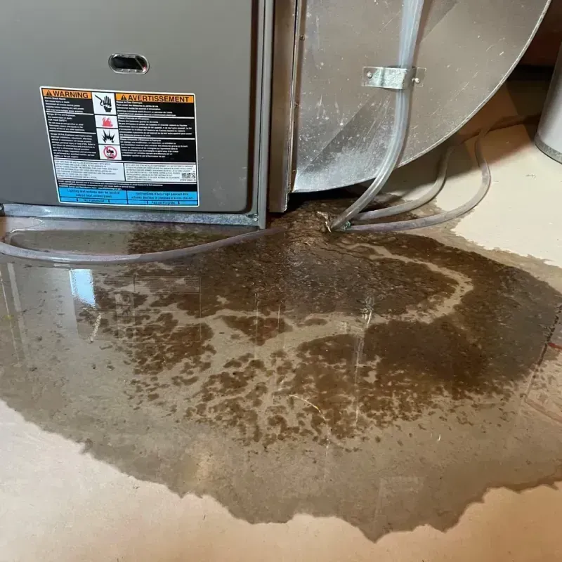 Appliance Leak Cleanup in Pocono Pines, PA